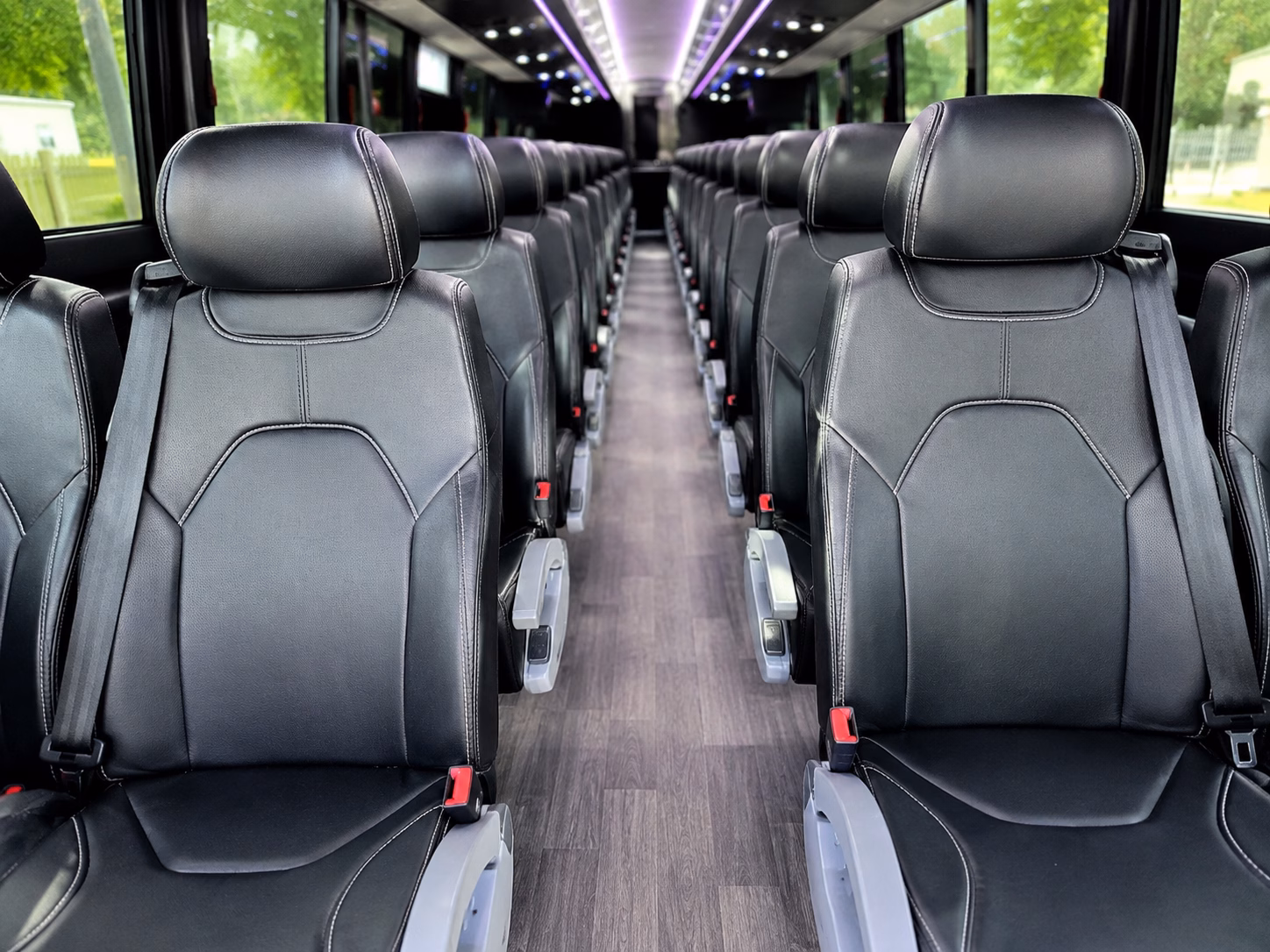 charter buses for kansas city zoo field trips from lee s summit